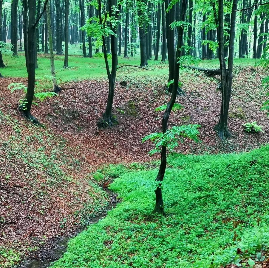 Ranczo W Dolinie Karpia - Blisko "Energylandii" Zator Villa Spytkowice  Dış mekan fotoğraf